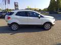 Ford EcoSport 1.5 110 CV Business Wit - thumbnail 4