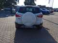 Ford EcoSport 1.5 110 CV Business Wit - thumbnail 6