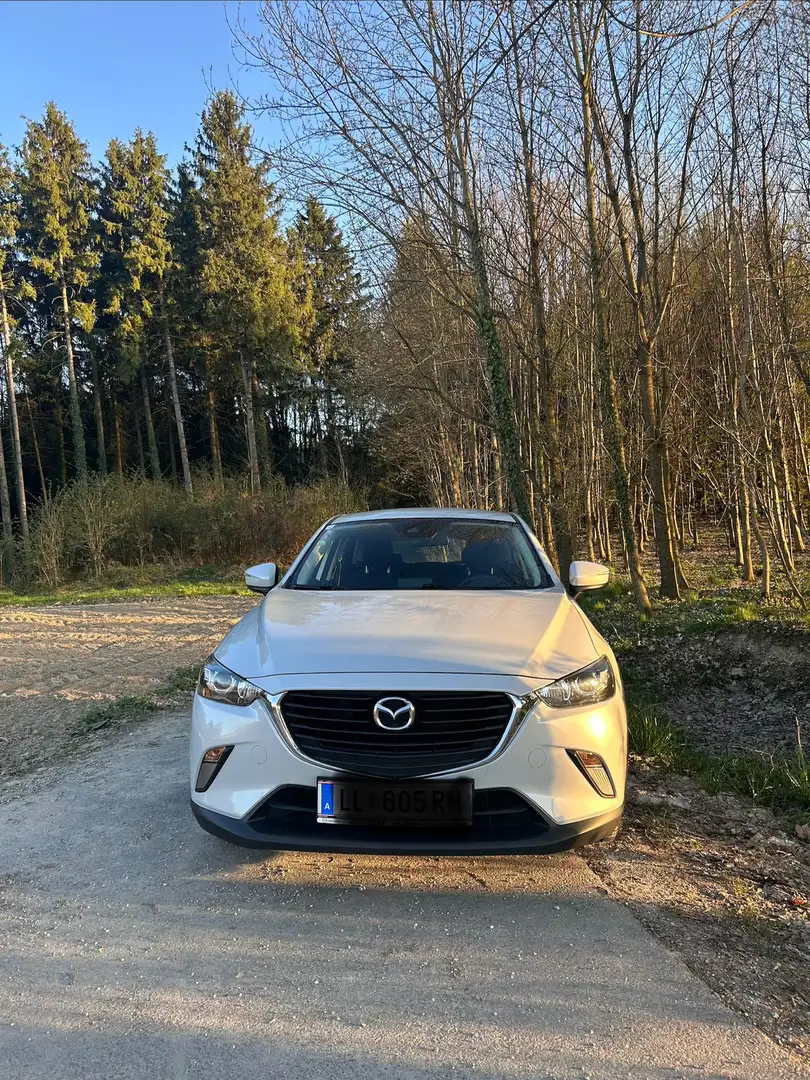 Mazda CX-3 CX-3 G120 Challenge Challenge Weiß - 1