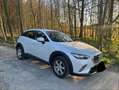 Mazda CX-3 CX-3 G120 Challenge Challenge Weiß - thumbnail 2