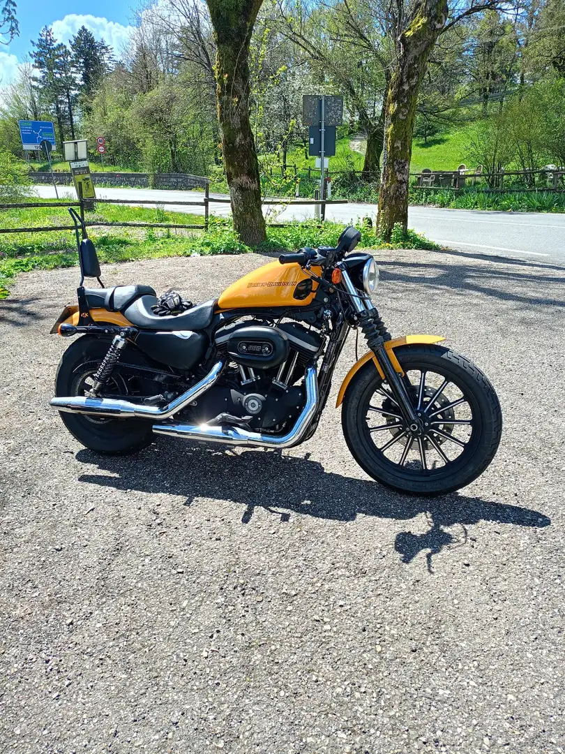 Harley-Davidson Sportster 883 iron Galben - 1