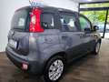 Fiat Panda Panda 1.2 Easy Grigio - thumbnail 6