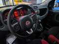 Fiat Panda Panda 1.2 Easy Grigio - thumbnail 12