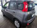Fiat Panda Panda 1.2 Easy Grigio - thumbnail 4