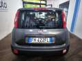 Fiat Panda Panda 1.2 Easy Grigio - thumbnail 5