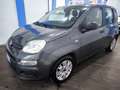 Fiat Panda Panda 1.2 Easy Grigio - thumbnail 3