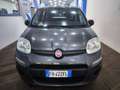 Fiat Panda Panda 1.2 Easy Grigio - thumbnail 2