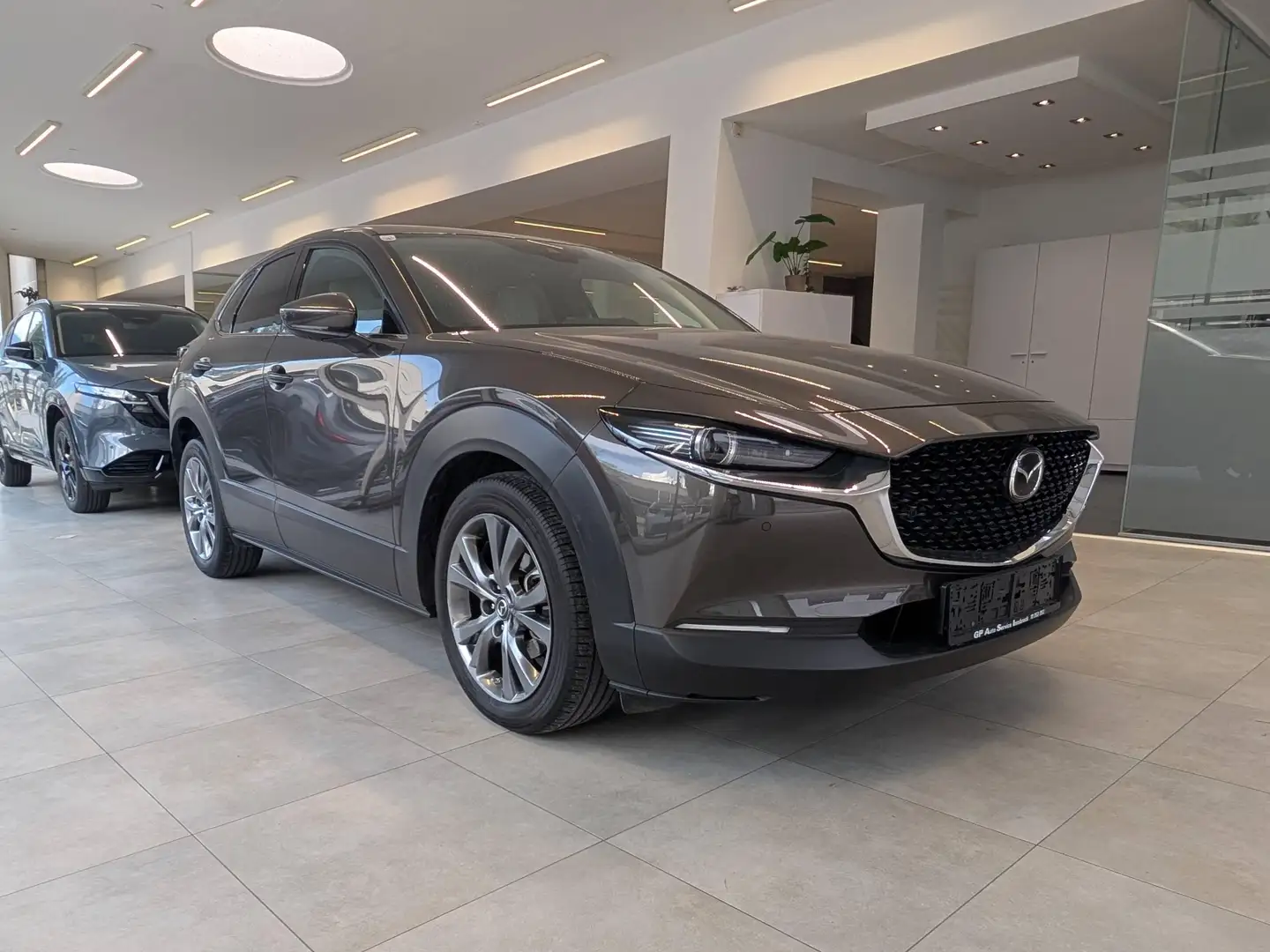 Mazda CX-30 CX-30 X180 GT+ /SO/PR/TECH Leder weiß Aut. Braun - 2