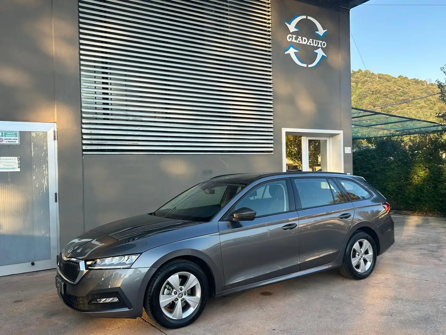 Skoda Octavia IN ARRIVO - Octavia  Wag 2.0 tdi evo Ambition dsg Gris - 2
