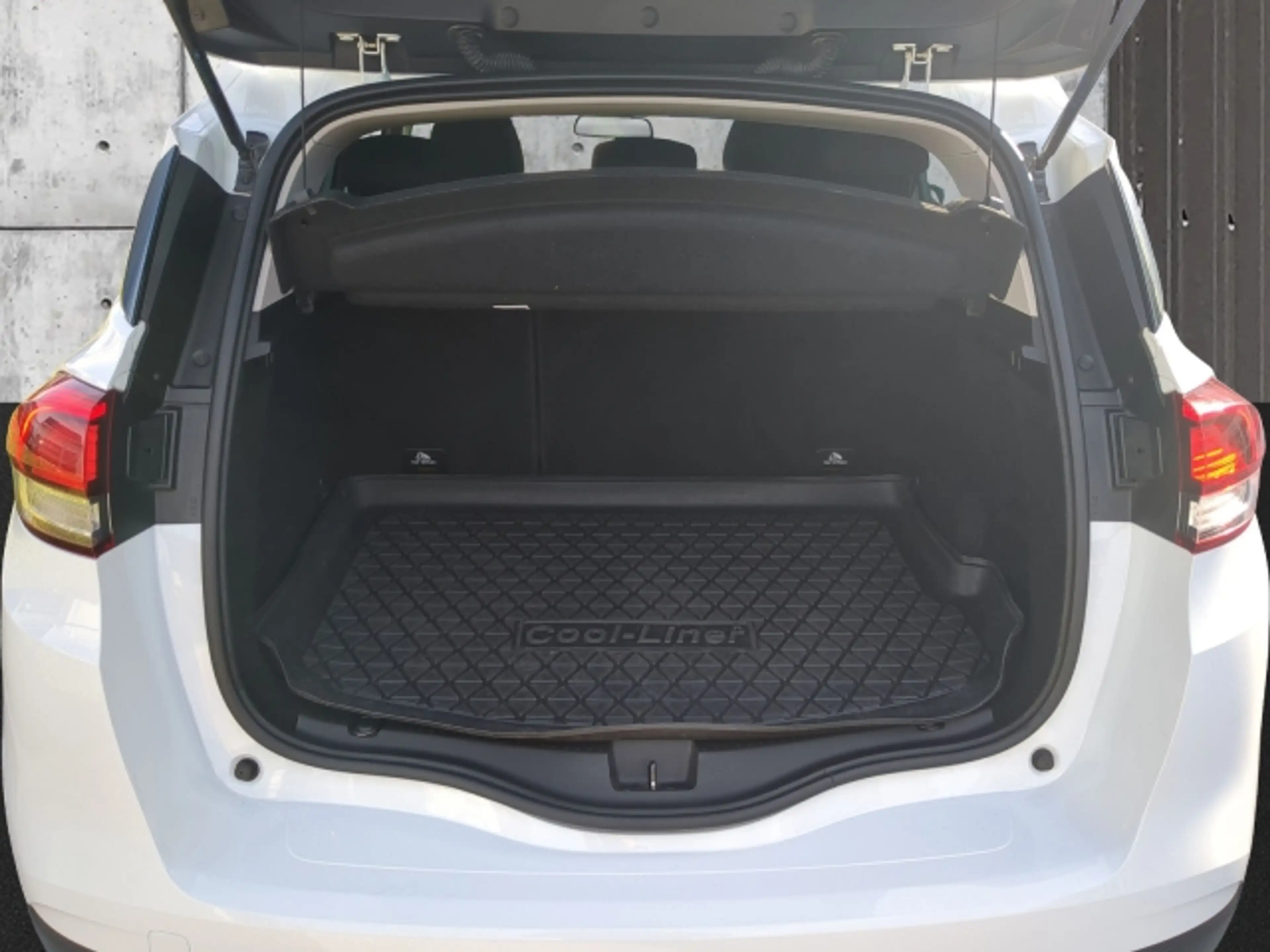 Renault Scenic SCENIC IV LIMITED — photo 6
