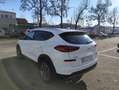 Hyundai TUCSON 1.6 CRDI 48V Xprime DCT Weiß - thumbnail 3