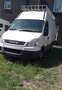 Iveco Daily Wit - thumbnail 1