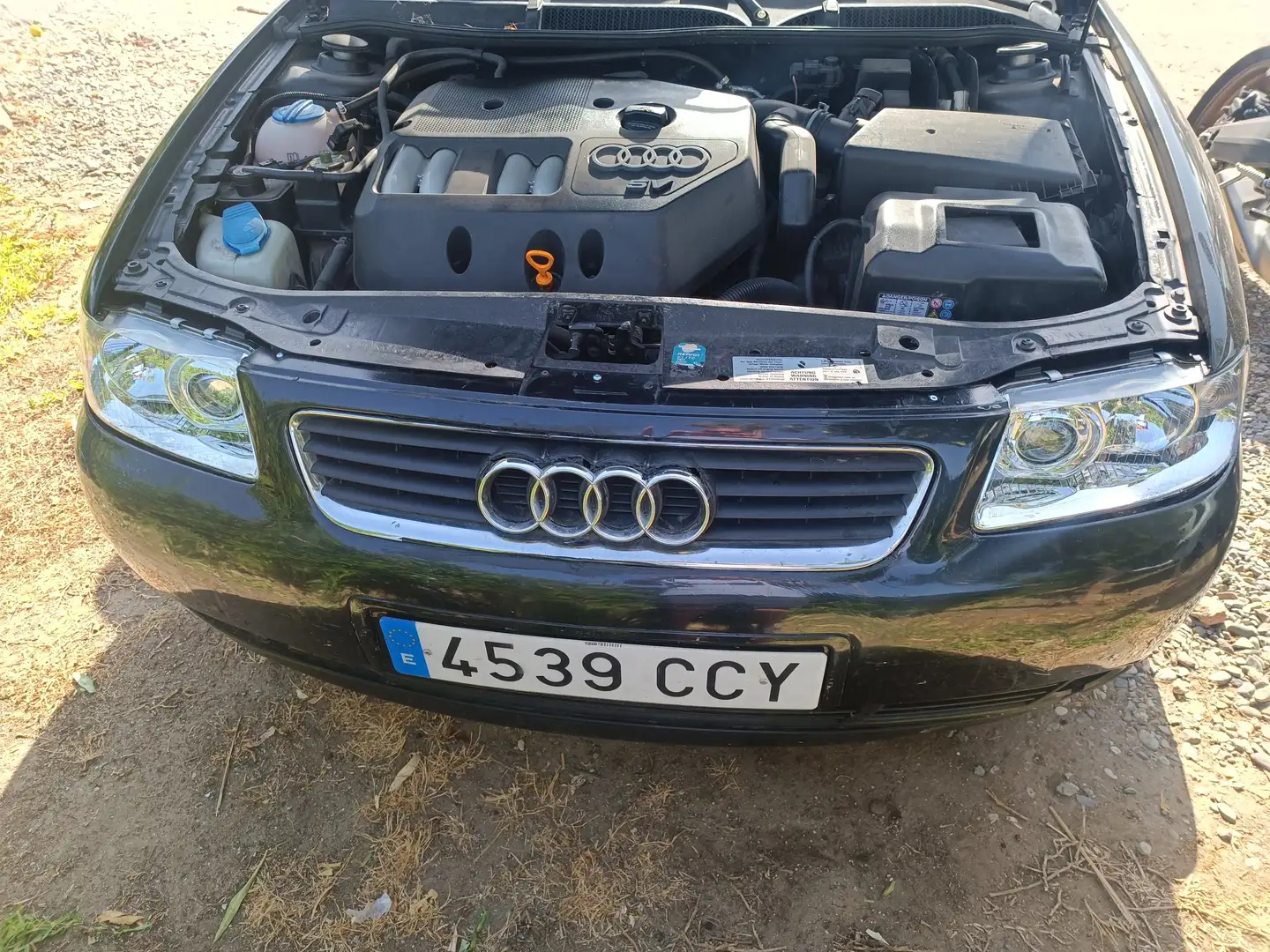 Audi A3 A3 1.8 Ambiente Ambiente Bleu - 2