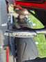 Ducati 899 Panigale Rood - thumbnail 7