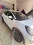 Ford Puma Puma 1.0 ecoboost Titanium X s Bianco - thumbnail 6