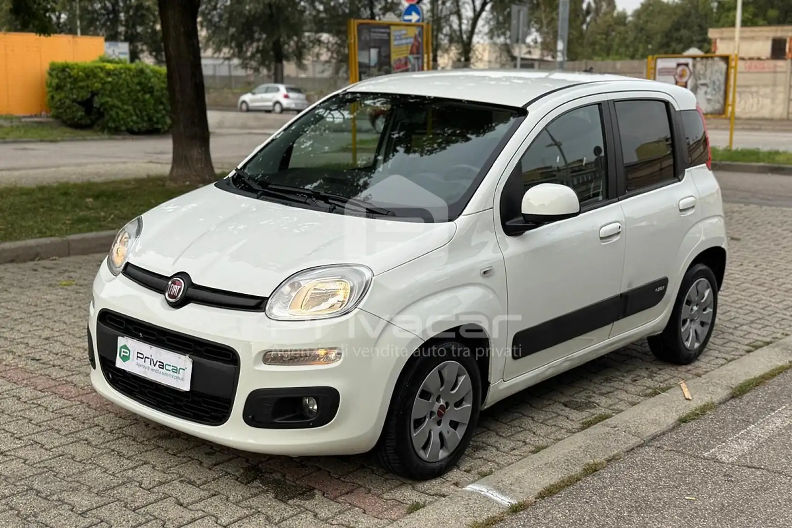 Fiat Panda Panda 1.0 FireFly S&S Hybrid Weiß - 1
