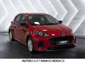 Mazda 2 Hybrid 1.5 116 CVT Centre SHZ RKAM HLA AHB Klima Rot - thumbnail 6