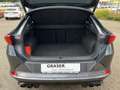 CUPRA Formentor VZ 4Drive DSG DAB LED RFK AHK PDC Grau - thumbnail 38