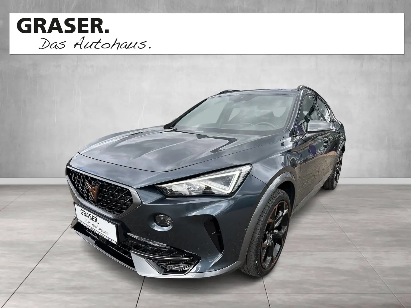 CUPRA Formentor VZ 4Drive DSG DAB LED RFK AHK PDC Grau - 1