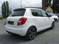 Skoda Fabia RS*Leder*Automatik*SH-gepfl.*Nr.05 Blanc - thumbnail 5
