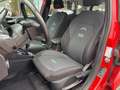 Ford Fiesta 7ª SERIE ACTIVE 1.0 ECOBOOST HYBRID 125 CV Rosso - thumbnail 12