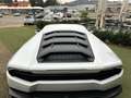 Lamborghini Huracán 5.2 610 awd Bianco - thumbnail 5