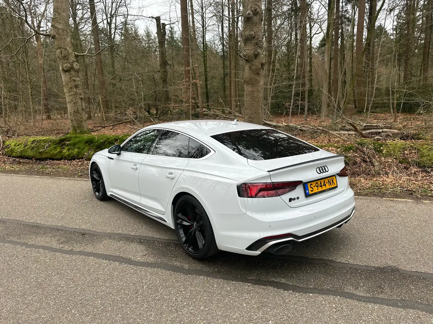 Audi RS 2.9 TFSI RS5 quattro bijela - 2