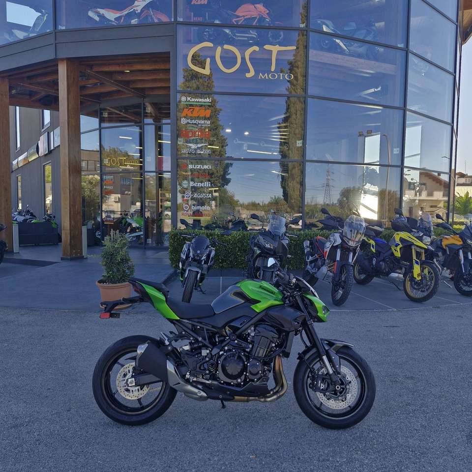 Kawasaki Z 900 Green / Gray