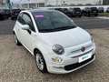 Fiat 500 1.0 70cv Ibrido Dolcevita Bianco - thumbnail 5