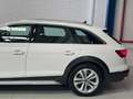 Audi A4 allroad 40 TDI quattro S-Tronic 150kW Weiß - thumbnail 8