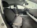 Audi A4 allroad 40 TDI quattro S-Tronic 150kW Weiß - thumbnail 45