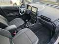 Ford EcoSport 1.0T EcoBoost 103kW (140CV) S&S Titanium Blanco - thumbnail 20