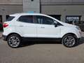 Ford EcoSport 1.0T EcoBoost 103kW (140CV) S&S Titanium Blanco - thumbnail 8