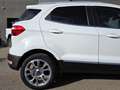Ford EcoSport 1.0T EcoBoost 103kW (140CV) S&S Titanium Blanco - thumbnail 9