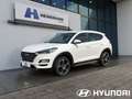 Hyundai TUCSON 1.6 CRDi 4WD DCT Style ||360° Kamera||SHZ Weiß - thumbnail 1