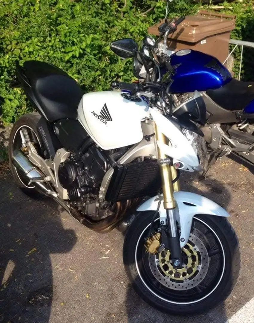 Honda Hornet 600 Weiß - 2