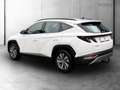 Hyundai TUCSON 1.6 T-GDI Line (OPF) Smart ASSIST+CARPLAY Weiß - thumbnail 13
