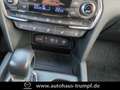 Hyundai SANTA FE 2.2 CRDi DPF Premium 4WD 7Sitze Blauw - thumbnail 20
