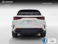 Lexus NX 450h+ Premium+ 4WD Blanco - thumbnail 4