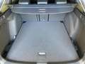 Volkswagen Golf Variant R-Line 150PS eTSI DSG AHK+360°+Black+IQ.Light+N... Bianco - thumbnail 18