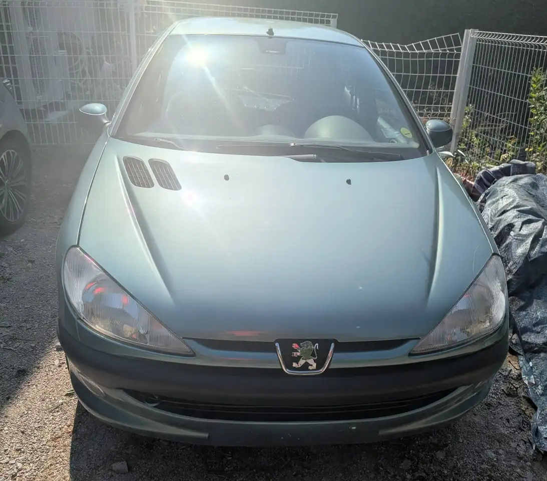 Peugeot 206 1.6i 2000, foto 1