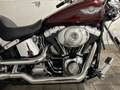 Harley-Davidson Softail - thumbnail 2