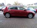 Volkswagen Golf 1.6 TDI  IQ.DRIVE Braun - thumbnail 4