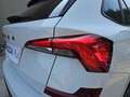 Skoda Kamiq 1.0 tsi black dots 115cv Bianco - thumbnail 24
