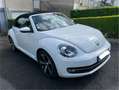 Volkswagen Coccinelle Cabriolet 1.2 TSI 105 BMT Couture White - thumbnail 9