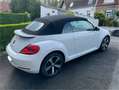 Volkswagen Coccinelle Cabriolet 1.2 TSI 105 BMT Couture Bianco - thumbnail 10