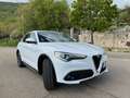 Alfa Romeo Stelvio 2.2 Turbodiesel 210cv AT8 Q4 Executive..Navi..!! Bianco - thumbnail 3