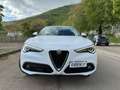Alfa Romeo Stelvio 2.2 Turbodiesel 210cv AT8 Q4 Executive..Navi..!! Bianco - thumbnail 2