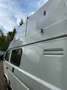 Volkswagen T3 Münnich Weiß - thumbnail 6