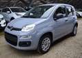 Fiat Panda Panda 1.2 Lounge Grigio - thumbnail 2